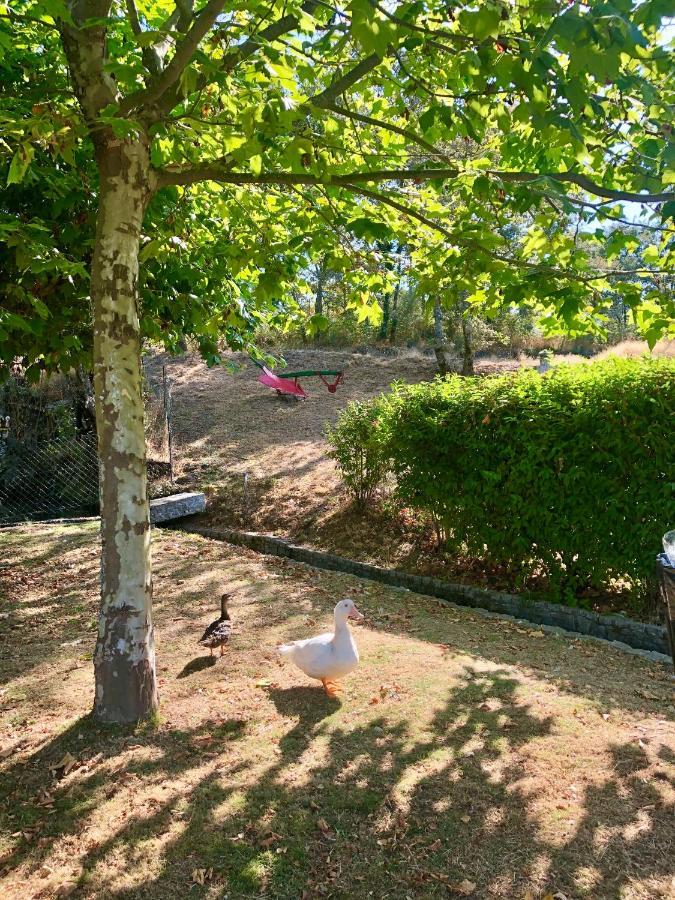 塞洛里库迪巴什图Casa Da Quinta Da Prelada Simao Partie Basse别墅 外观 照片