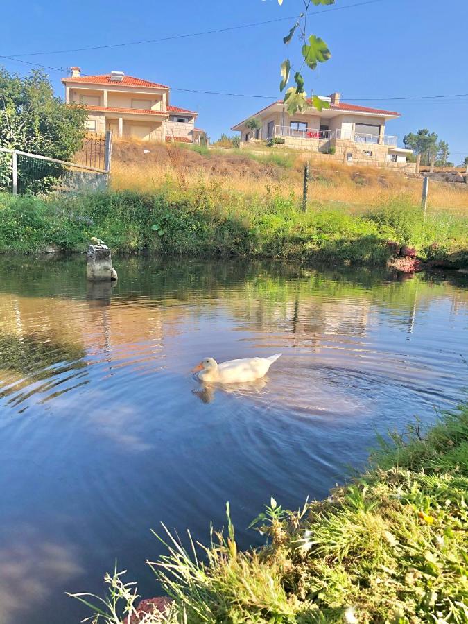 塞洛里库迪巴什图Casa Da Quinta Da Prelada Simao Partie Basse别墅 外观 照片