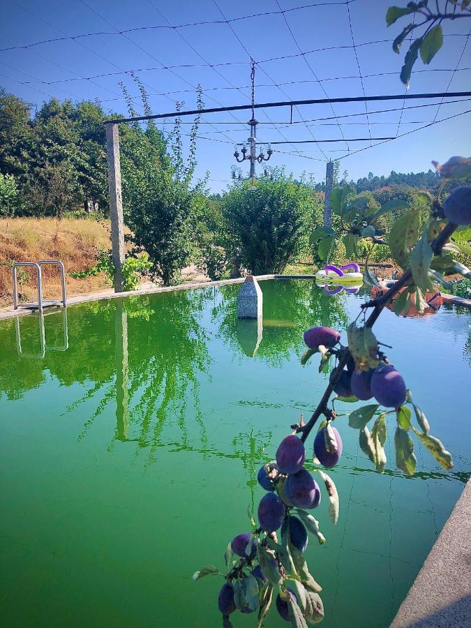 塞洛里库迪巴什图Casa Da Quinta Da Prelada Simao Partie Basse别墅 外观 照片