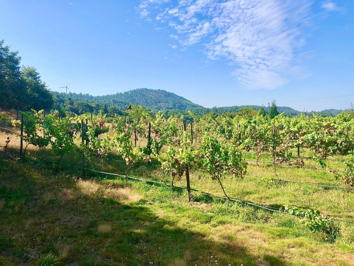 塞洛里库迪巴什图Casa Da Quinta Da Prelada Simao Partie Basse别墅 外观 照片
