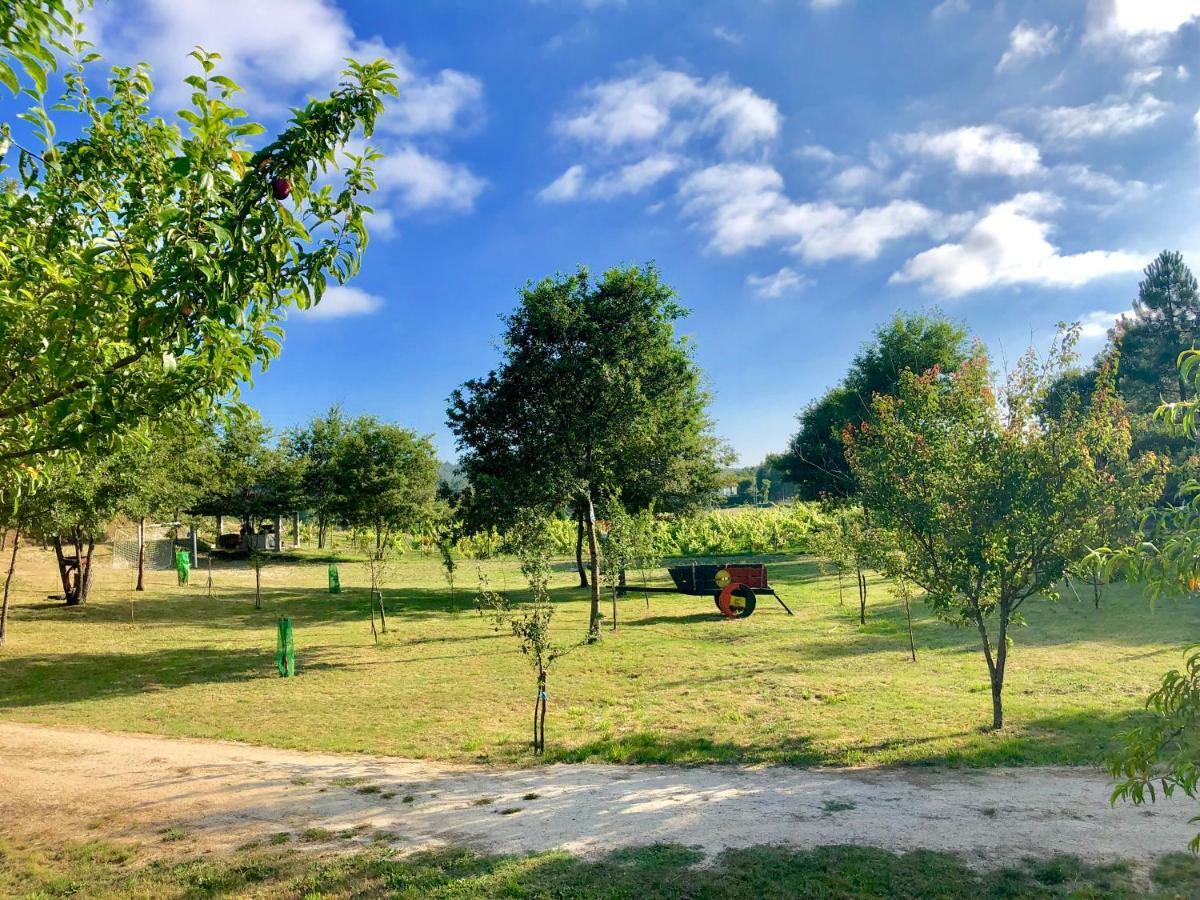 塞洛里库迪巴什图Casa Da Quinta Da Prelada Simao Partie Basse别墅 外观 照片