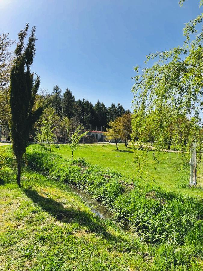 塞洛里库迪巴什图Casa Da Quinta Da Prelada Simao Partie Basse别墅 外观 照片